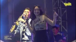 Download lagu CINDERELLA - HAPPY ASMARA PIJARFEST LIVE KUDUS KONSER DAMAI