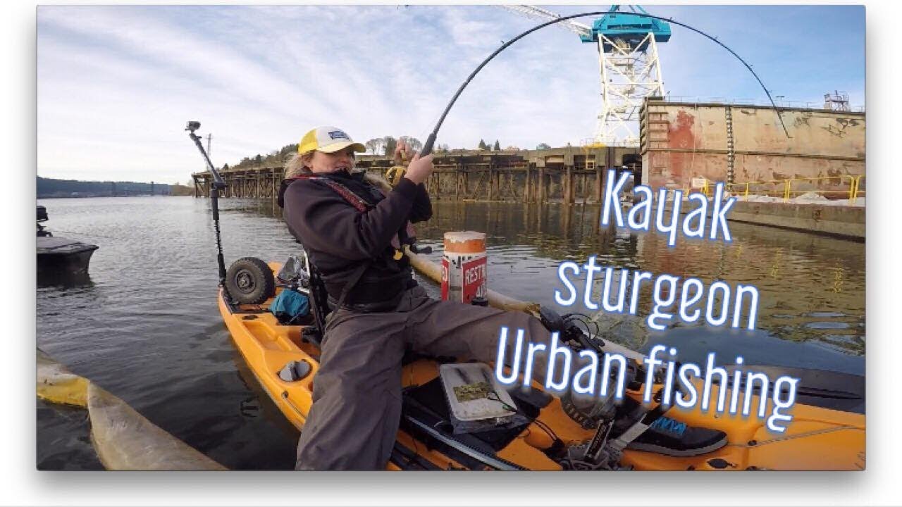 ugly stik sturgeon rod