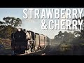 Steam Loco on &#39;The Straight&#39;! (707 Operations&#39; Strawberry &amp; Cherry Fest 2018) | R707, Y127 &amp; T413