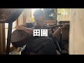 田園【弾き語り】ギター買って1ヶ月が経ちました【Playing the guitar first month】