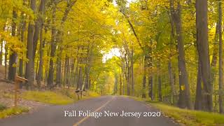 Fall Foliage New Jersey 2020