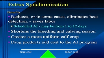 Bruce Carpenter - Cattle Reproduction - Estrus Detection and Sync Lecture - C