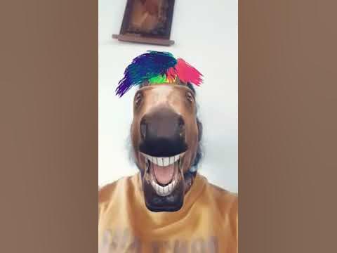  fun - YouTube