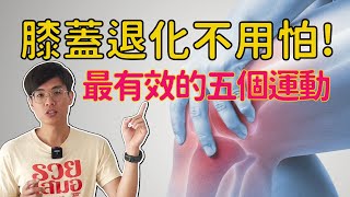 膝蓋退化不開刀靠這五個運動恢復膝蓋健康  ▏北木健身