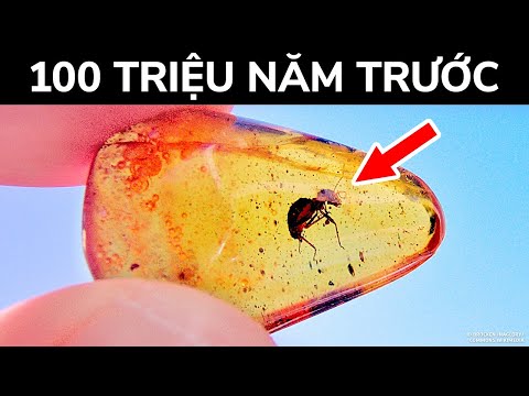 Video: Trận động đất bí mật ở Liên Xô và 30 nghìn người chết