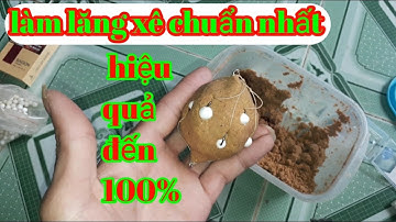 Cách chọn dây, lưỡi câu, lăng xê, và cách nắm mồi vào lăng xê