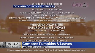 Don't Throw Out That Jack-O-Lantern From Halloween, Turn It Into Compost