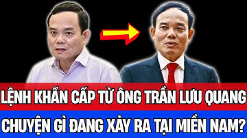 Bí Ẩn Trần Lưu Quang: Gió Mới Đổi Chiều TP.HCM Năm 2025!| Vấn Đề Cơ Bản