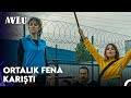 Avlu 17. Bölüm - Avlu'da Şenlik Var