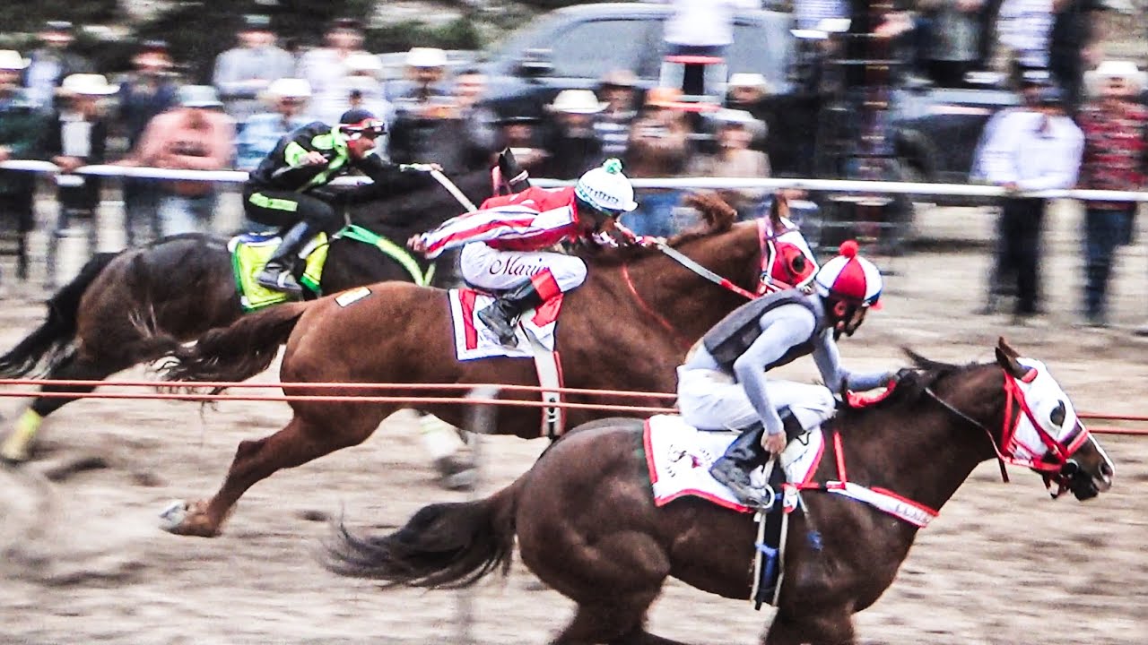 🌲Que Viva La Sierra🌲 Super Abierto En 25 Varas, Carril La Tableta Durango Mex.