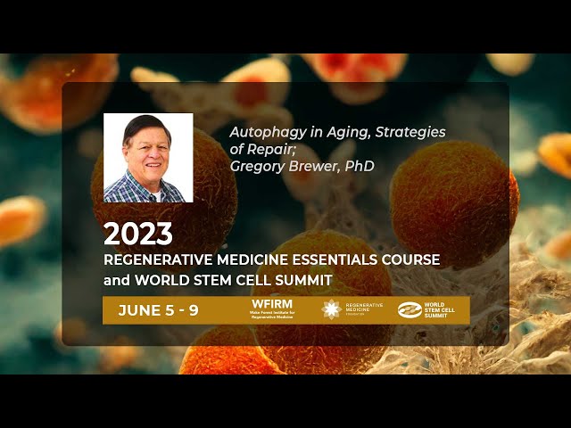 Autophagy in Aging, Strategies of Repair; Gregory Brewer, PhD