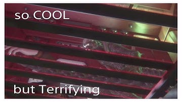 Alien Isolation Ep 10 (THEY USED ME AS BAIT)