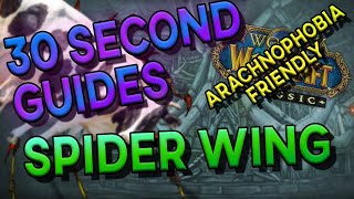 Spider Wing - 30 Second Guides - Naxxramas