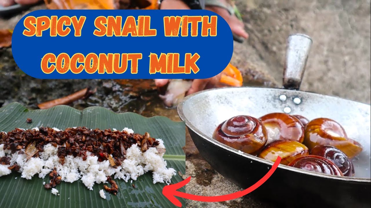 How to cook SPICY Snail with Coconut Milk (Recipe) SPICY Snail with
