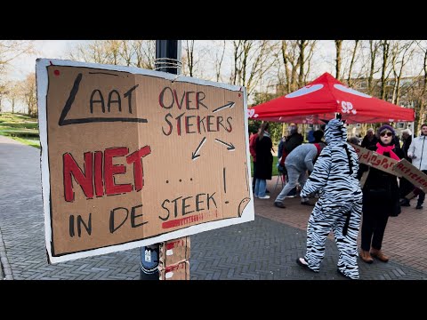 Zebras in actie voor nieuwe zebrapaden