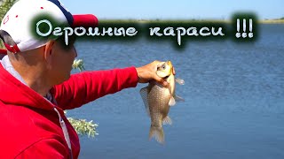 картинка: Ловим крупных карасей на озере!!! Фидер на котловане!
