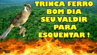 TRINCA FERRO BOM DIA SEU VALDIR !