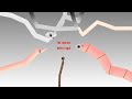 Life of luxury: the worms battel royal.