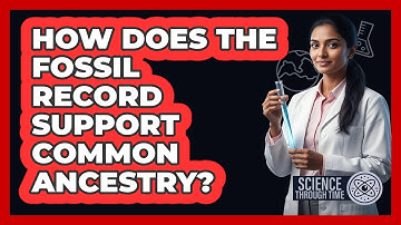 How Does the Fossil Record Support Common Ancestry?