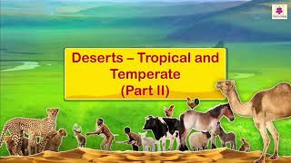 Features, Locations and Differences of Tropical (Hot) Deserts and Temperate (Cold) Deserts