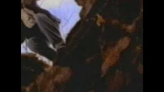 STUCK MOJO - Not Promised Tomorrow ( VIDEO)