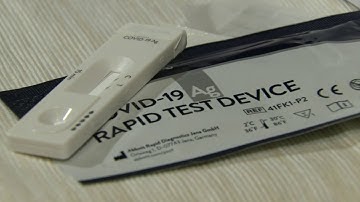 How and when to use COVID rapid tests for holiday gatherings