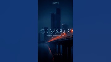 راحة نفسية وهدوء جميل 🥰❤️🎧     #المصحف #قرآن #صوت_جميل #قران_كريم #راحة_نفسية #تلاوات #تلاوة_خاشعة