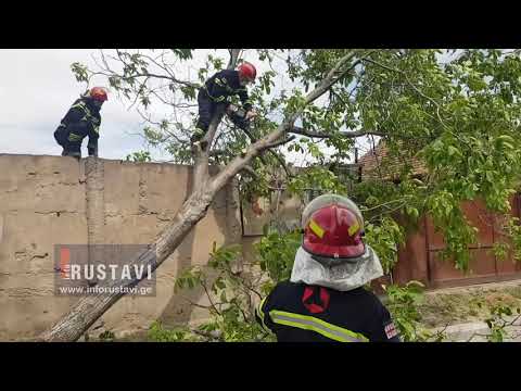 რა დააზიანა ძლიერმა ქარმა რუსთავში
