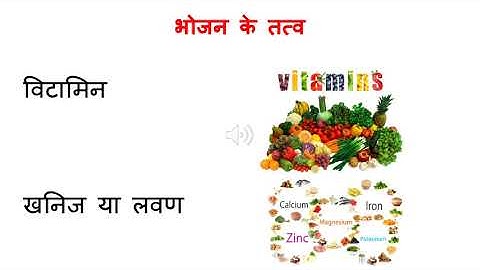 Home Science chapter 3- class 6th