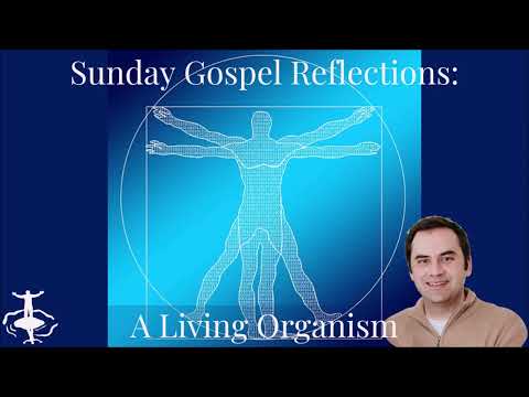 A Living Organism: 13th Sunday in Ordinary Time