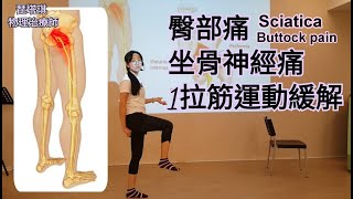 臀部痛、坐骨神經痛的緩解拉筋運動 / Sciatica stretch relieve buttock pain (cc subtitles)【琵塔琪 物理治療師】教學直播