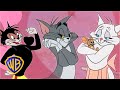 Tom Jerry Will You Be My Valentine Valentine S Day Classic Cartoon Compilation Wbkids 