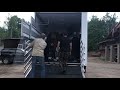 Фургон для перевозки лошадей