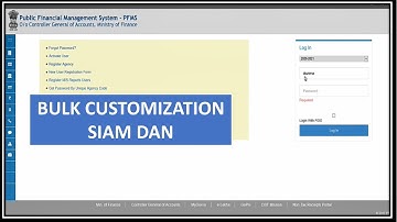 PFMS tutorial in Mizo | Bulk Customization | PFMS