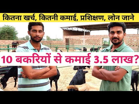 नोकरी नहीं बकरी पालन करते युवा|How to Start Goat farming in india|Bakri Palan in Hindi