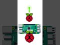 “K3s or MicroK8s? What I’d Use in My Pi Cluster”