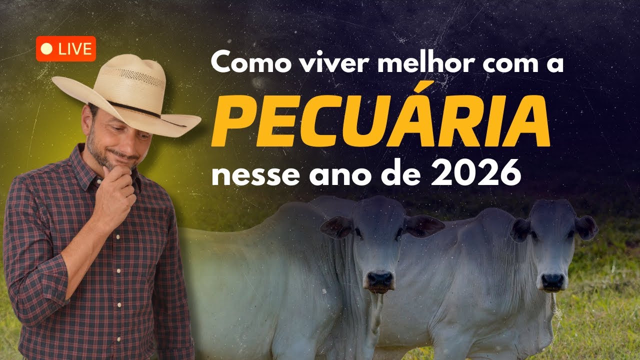 Como viver melhor com a pecuária nesse ano de 2026