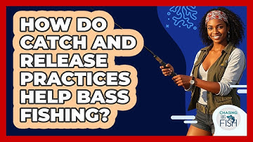 How Do Catch And Release Practices Help Bass Fishing? - Chasing Big Fish
