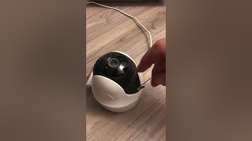 Argus PT stuck after reset (Reolink) video for the customer service