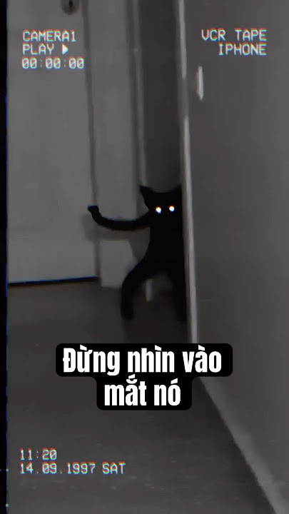 BLACK CAT is POISONED? 😱