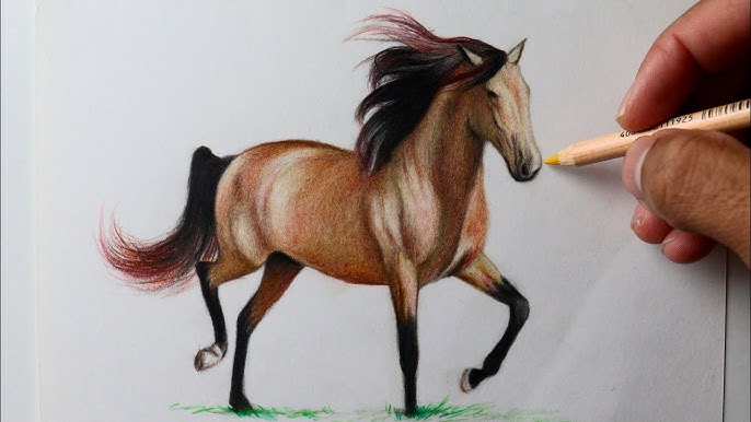 Como desenhar um cavalo - Instruções passo a passo  Ausmalbilder pferde,  Pferde malen, Zeichnen anleitung