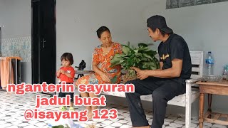 Nyari sayur lempad buat mbah uti