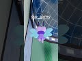 #flutter#funny#meme#gacha#fyy#vaiprofycaramba#naofloppa #roblox#dw#dandyswords