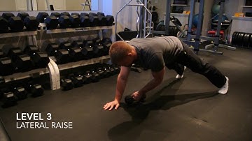 Plank Variations: DB Pull Across (3 Levels) Core Stability, Isometric Exercises, Resistance Training