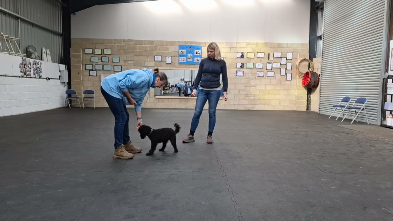 Directional Cues left and right 