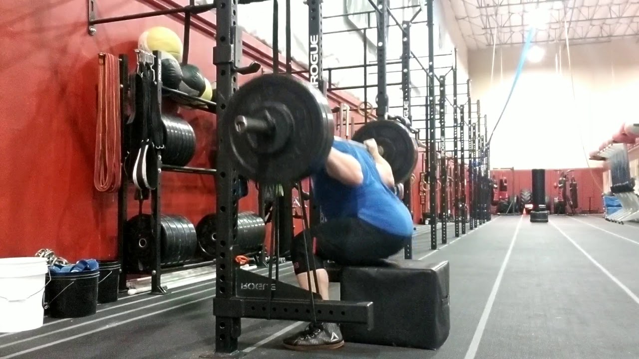 Box Squat with Bands (doubled over) YouTube