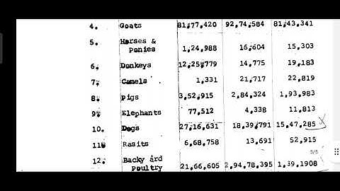 Typewriting and shorthand exam revision paper mark full detail explain xerox copy 2022