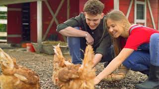 Comment obtenir des œufs frais en ville ? le secret de l'élevage de poules dans la jungle urbaine !