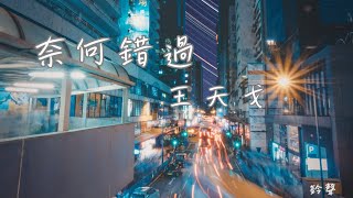 王天戈 - 奈何錯過 (鈴聲)【那遠途的白鴿 在天邊飛過 有些不捨為天空把傷口愈合】(動態歌詞)