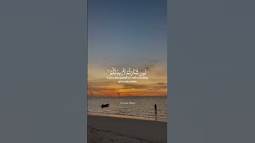 تلاوة قصيرة جميلة | طارق محمد